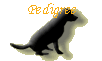 Pedigree